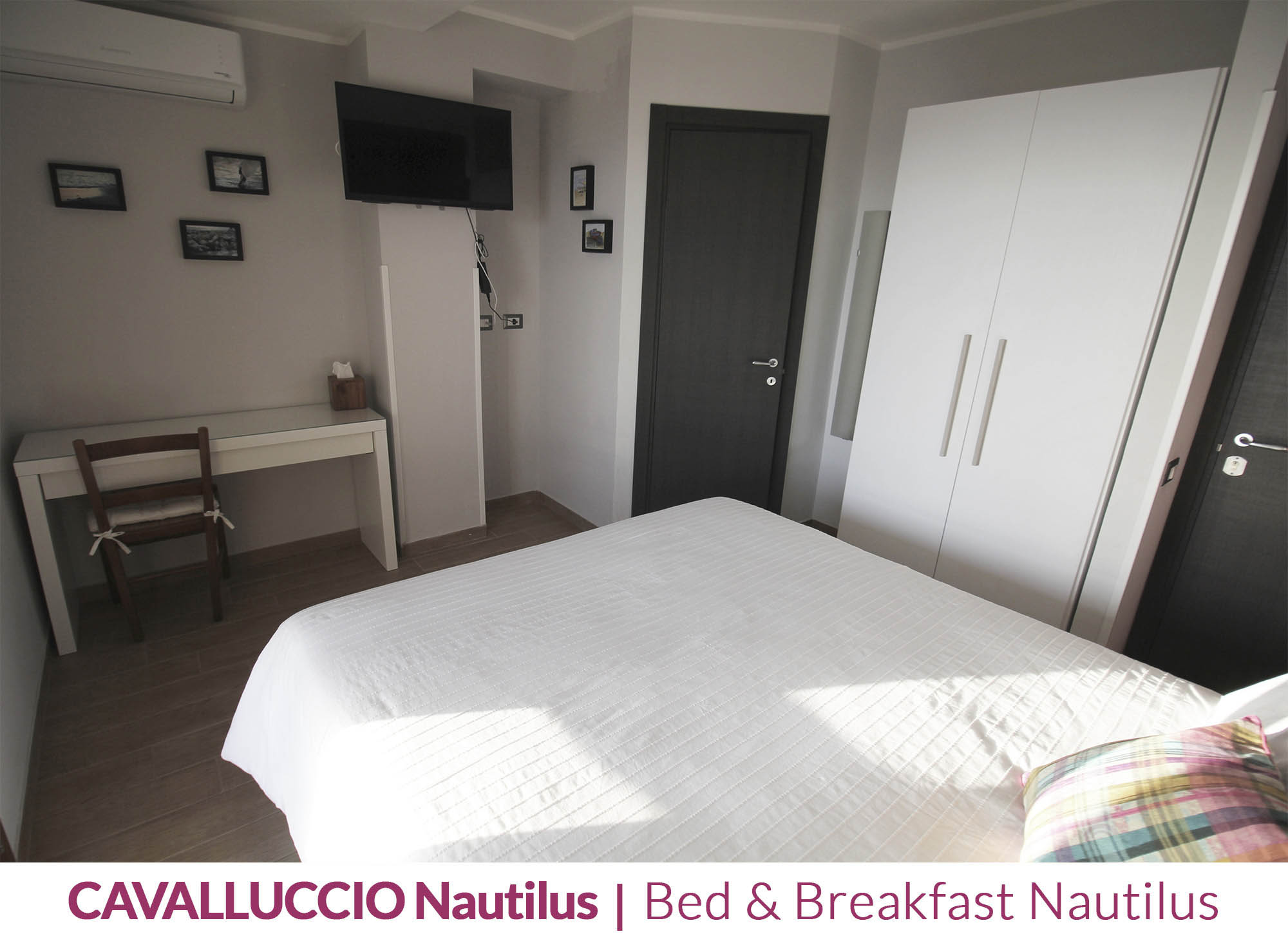 cavalluccio-nautilus-photo-05