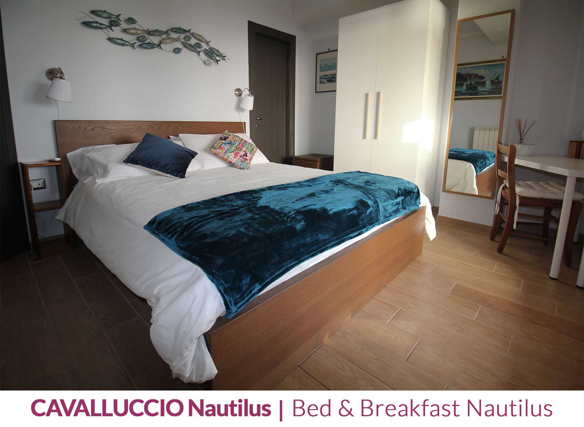 cavalluccio-nautilus-photo-06