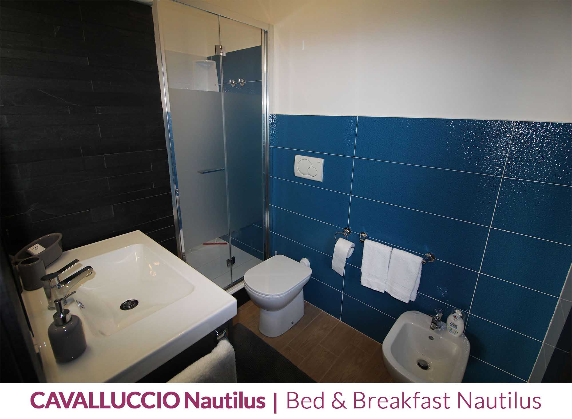 cavalluccio-nautilus-photo-08